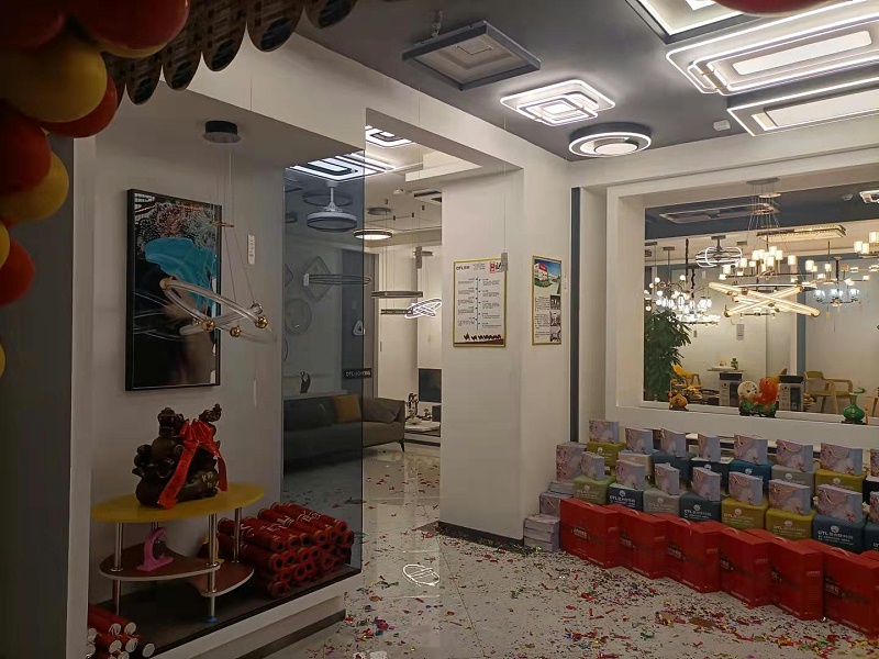 家居照明品牌,灯饰品牌,樱花草在线观看视频www照明灯饰